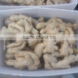 Fully air dried ginger/Best price ginger/Dry ginger from origin