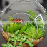 Artificial Succulent Plant Glass Globe Hanging Terrarium thumbnail-3