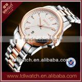 3ATM Water Resistant Stainless Steel Watch, Sapphire Watch, Man Watch, Japan Movement Watch