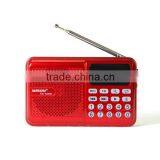 Hot New Product 2015 D-69E Mini FM Radio Speaker