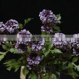 High Quality Artificial Silk Flowers Bouquets for Interior Decoration With Five Head thumbnail-5