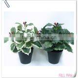 Plastic Red Berries/Holly Artificial Potted Flowers thumbnail-1