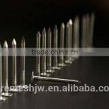 Polish Common Nail With Cheap Price