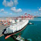International Freight Forwarder to Adelaide,australia From Shenzhen China