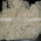 Thread Waste (Hard Cotton Waste)Usually White in Colour thumbnail-1