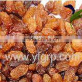 AAA Grade Zante Currant--HOT thumbnail-1