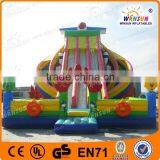 Commercial Inflatable Bouncer Inflatable Water Slide