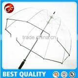 Non Foldable Transparent Waterproof Umbrella