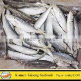 Frozen Seafood Round Scad 60-80pcs per Carton 80-100 Pcs per Carton W/R Supplier