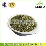 Export Green Mung Beans Specification thumbnail-2