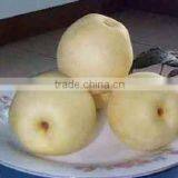 Fresh Chinese ya Pears