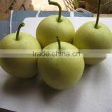 Nice Difference Specification of Crown Pear in China