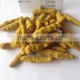 Turmeric Curcumin thumbnail-3
