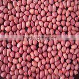 Good Quality Red Skin Peanut Kernels thumbnail-1