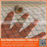 China Supplier Greenhouse Anti Bird Trap Mist Net , Plastic Fruit Bird Protection Net , pe Plant Support Anti Bird Green Net thumbnail-5