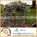 Hot Dipped Galvanized or Pvc Coated Chain Link Rhombus Fence(ISO9001:2000) thumbnail-3