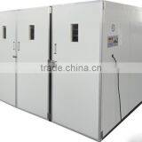 Large Size Poultry Incubator Machine WQ-12672 Incubate Hatchery Machine thumbnail-3