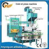 Low Investment 6YL-130 150 Cold Oil Press Machine Production Line thumbnail-3