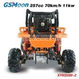 Powerfull New 250cc EEC go Kart With CVT System thumbnail-3