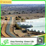 Multi-span Open Roof Green Houses thumbnail-2