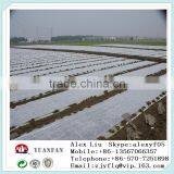 Anti-UV White pp Non Woven Fabrici Used in Plant Cover thumbnail-5