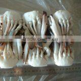 Frozen Cutting Swimming Crab thumbnail-1