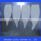 Squid Tube Frozen thumbnail-2