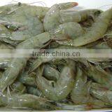 Frozen White Shrimp Vannamei Shrimp Hoso thumbnail-6
