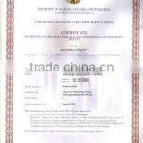 Chopped Sargassum Seaweed thumbnail-6