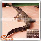 Artificial Antique Statues for Sale Fiberglass Animal Statues thumbnail-3