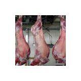 Sell Frozen Halal Lamb Products thumbnail-1