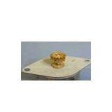 PM Stepper Motor PM25 500V AC for One Minute