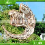 KAWAH Museum Display Resin Dinosaur Skeleton Life-Size Real Fiberglass Dino Skull For Sale thumbnail-5