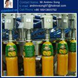 Professional Pulp Fruit Juice Bottle Fillling Machine Production Line thumbnail-5