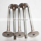 KTA19 Intake Valve 207241