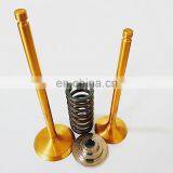 Fuel-efficient Vehicles Parts Germany Engine Valve for Audi V6 2.4 2.8FSI 3.0TFSI 3.2FSI a4 a6 1.8T 1.9 TDI 3.0 TFSI GTI thumbnail-7