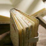 Notebook thumbnail-4