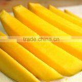 Best Price Fresh Yellow Mango From Vietnam