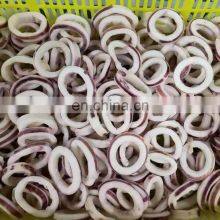 High Quality Frozen Illex Todarodes Black Squid Ring Wholesale EU thumbnail-2