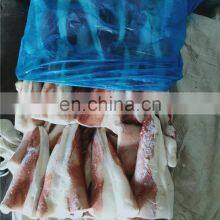 Frozen Squid Tip Giant Squid Tail Indian Ocean Squid Tip thumbnail-5