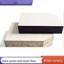 Wood-based Anti-static Raised Floor, Overhead Raised Floor for Computer Rooms and Monitoring Rooms, Particle Board Substrate 600*600 thumbnail-4