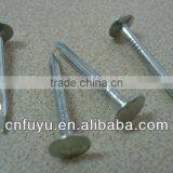 Galvanized Large Flat Head Clout Nail Manufacturer