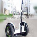 2013 New Model With Remote Controller Zero-emission Electric Chariot(SKD-SG01,SKD-SG02)
