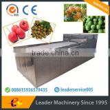 Leader automatic orange peeling and juicing machine with website:leaderservice005