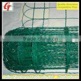 Decorative Garden Border Fence/PVC Coated Green Garden Wire Mesh Fence