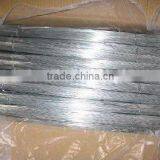 Galvanized Cutting Wire(factory)