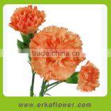 Wide Varieties Good Smell Carnation Bouquet for Wedding Bride thumbnail-3