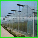 Polythene Anti Insect Netting Export Thailand thumbnail-3