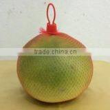 Organic Fresh Pomelo thumbnail-1