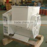 11kw Insulation Class H 25 kw Generator Head Brushless Alternator Winding 12 Wires